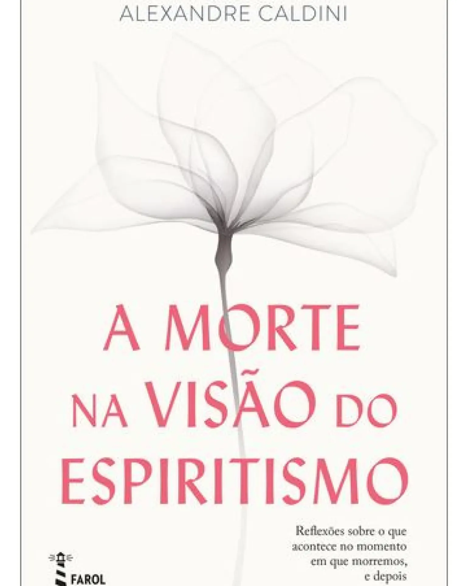 A Morte na Visão do Espiritismo de Alexandre Caldini