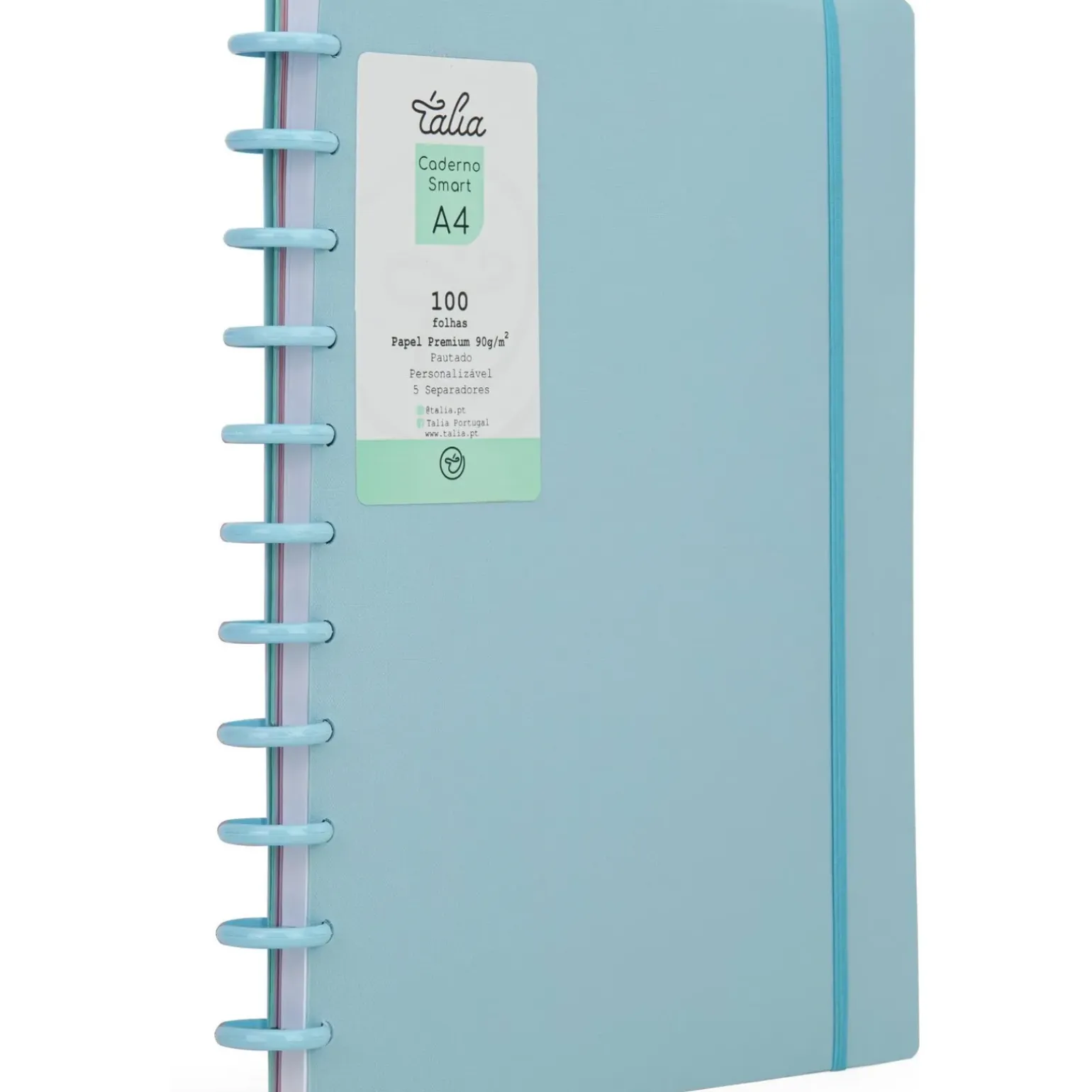 Caderno Smart A4 com Elástico 100 Folhas Artic Ice Talia