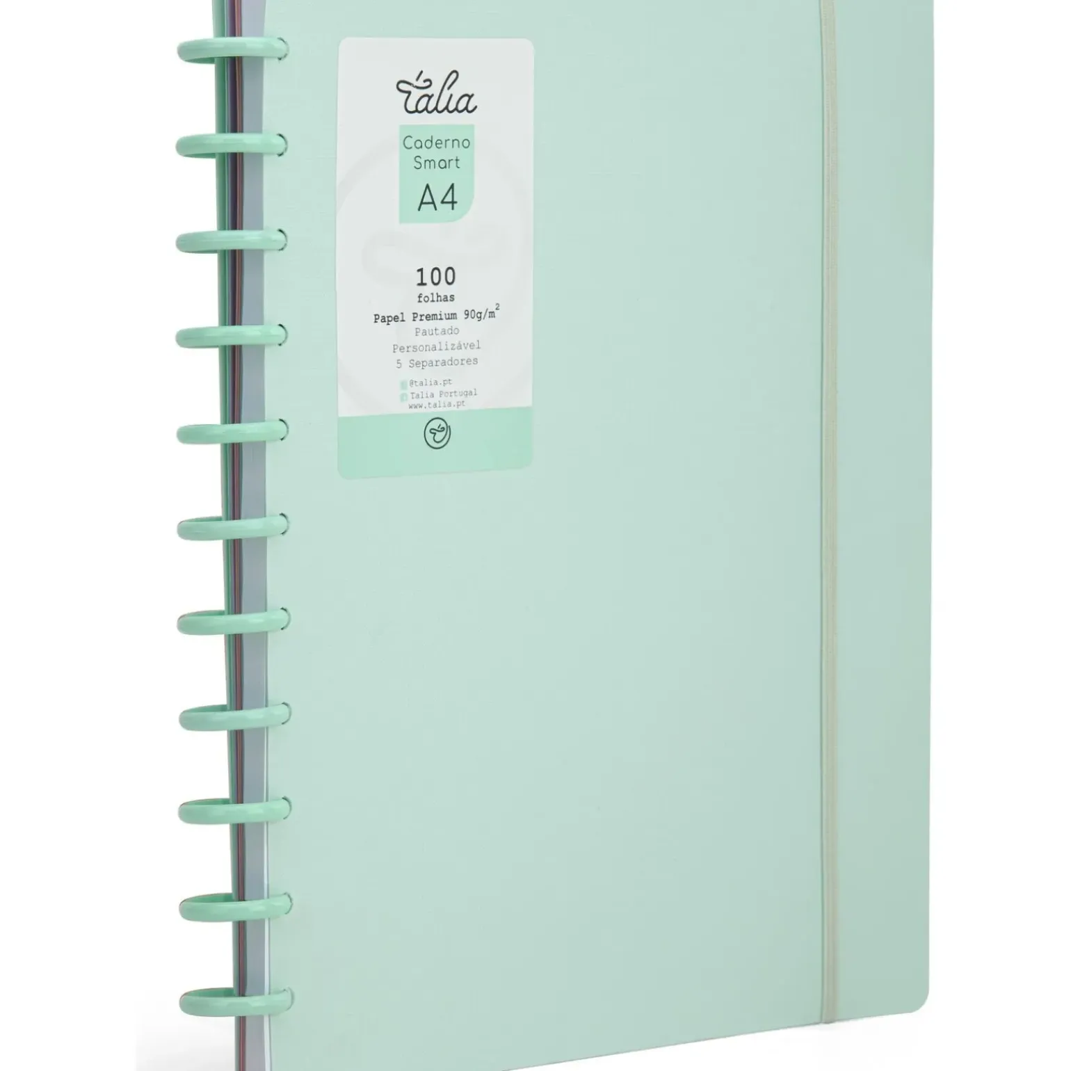Caderno Smart A4 com Elástico 100 Folhas Verde Pastel Talia