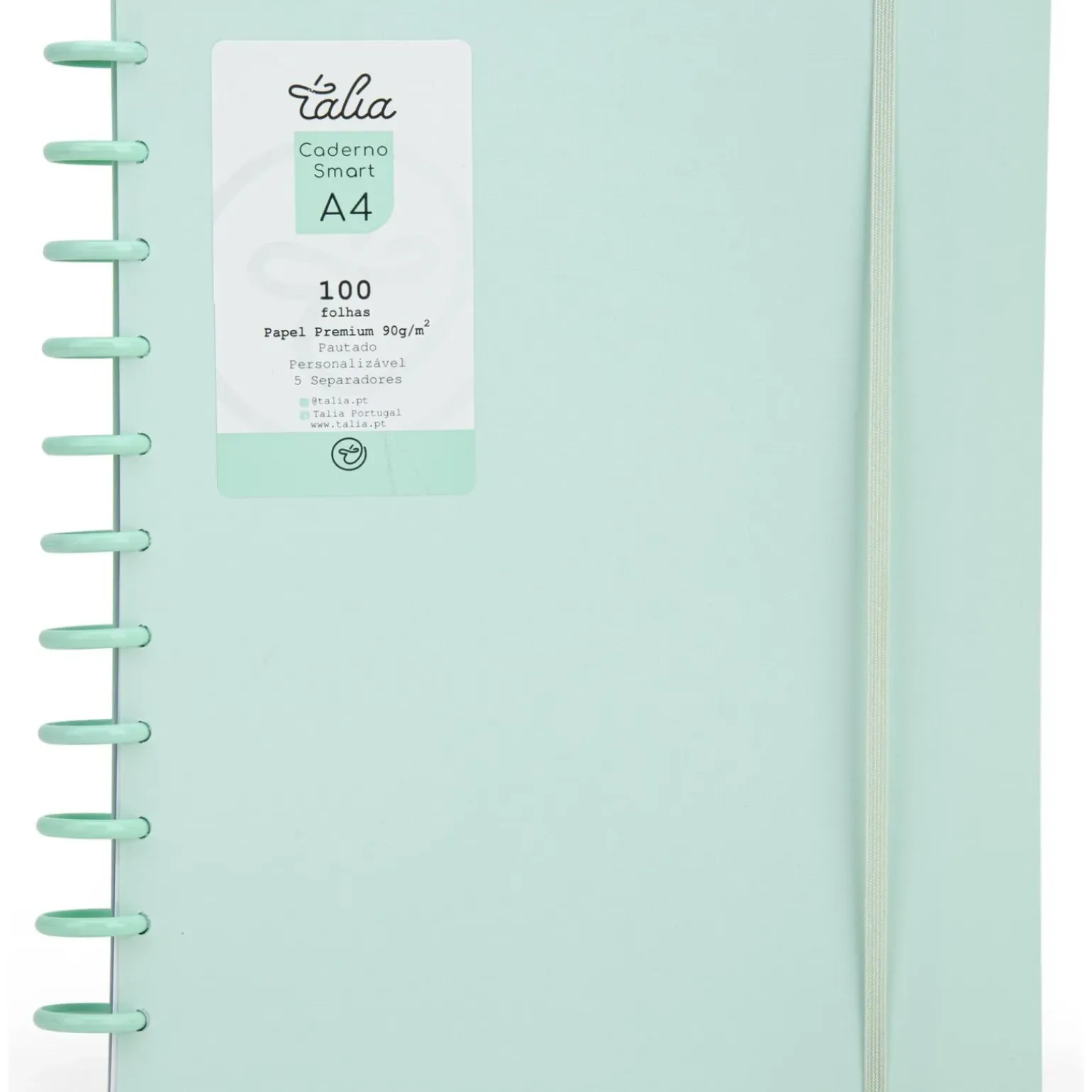 Caderno Smart A4 com Elástico 100 Folhas Verde Pastel Talia