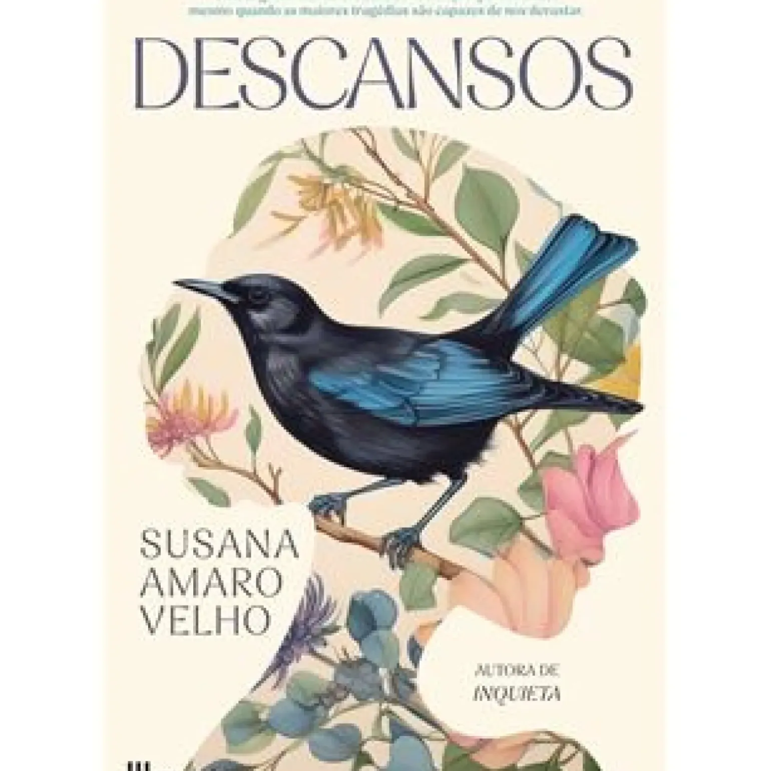 Descansos de Susana Amaro Velho