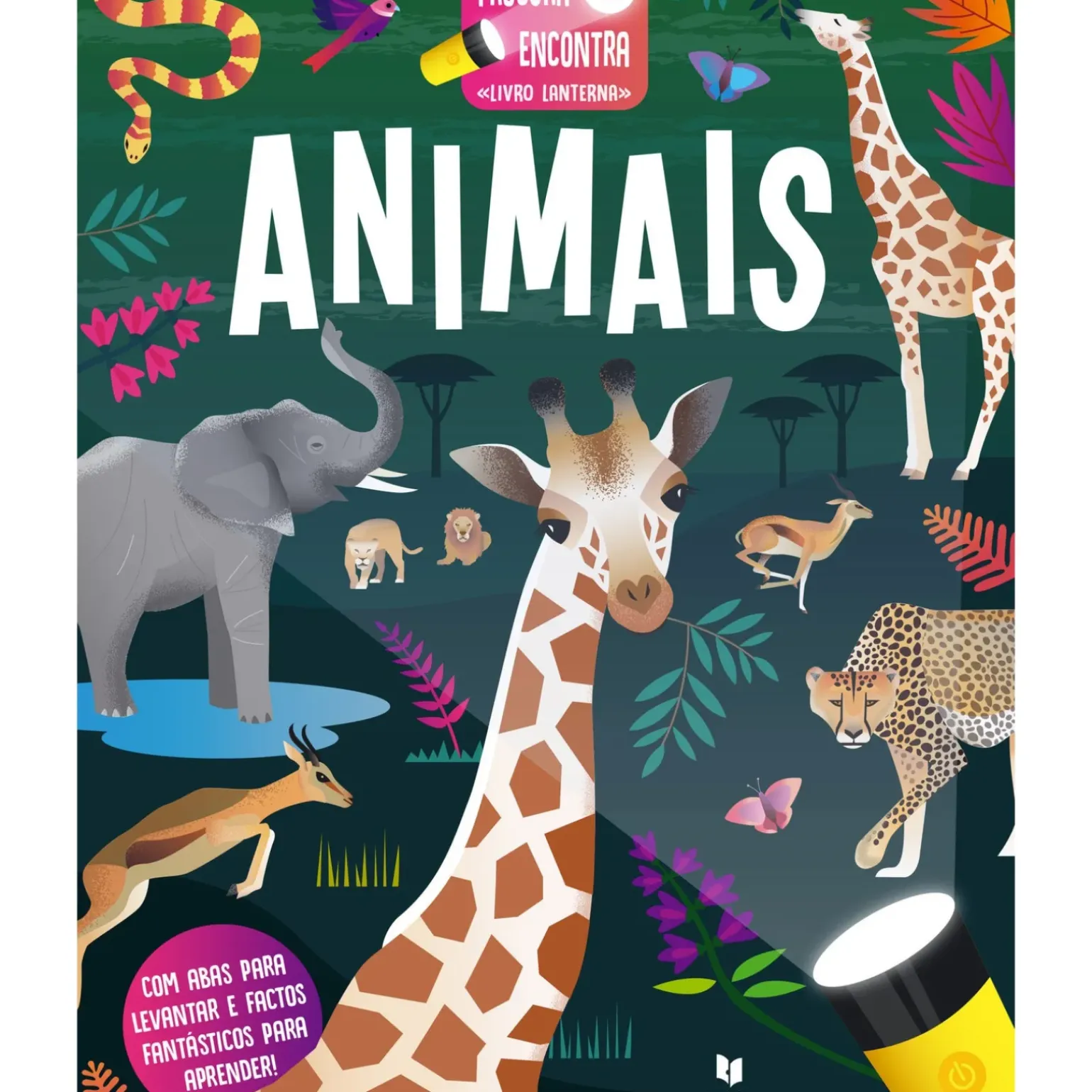 Procura e Encontra - Animais de Lydia Halliday e Amanda Shufflebotham