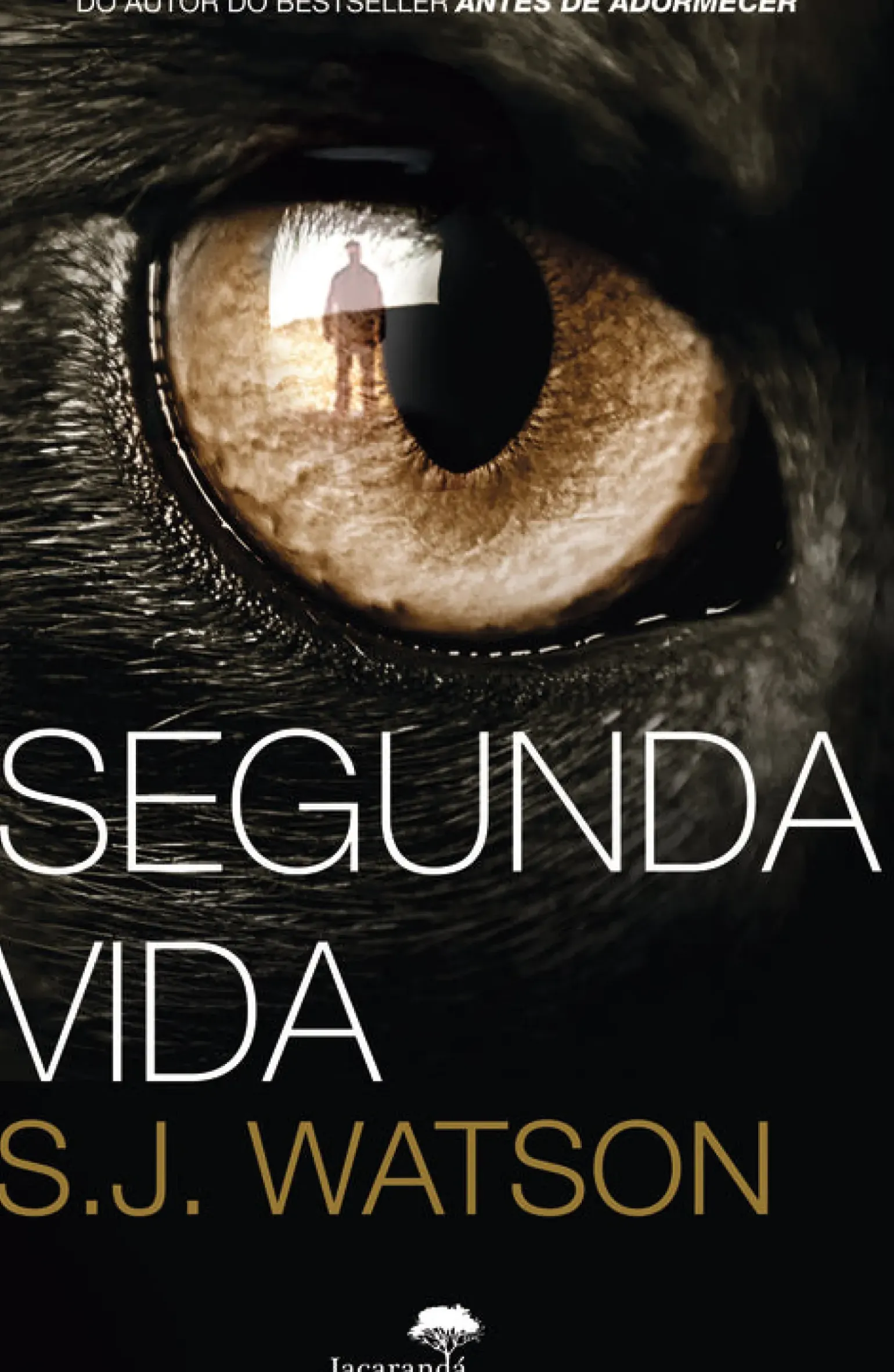 Segunda Vida de S. J. Watson